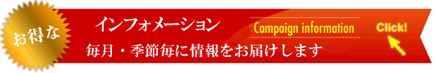 お得なキャンペーン実施中！