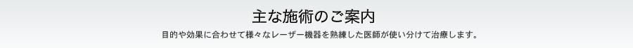 主な施術のご案内