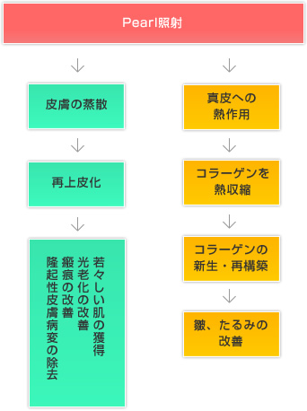 パールの作用から効果までの流れ