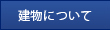 ɂ