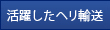􂵂wA